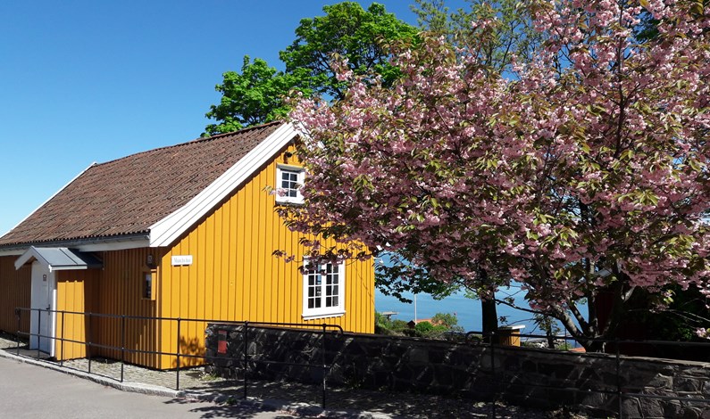 Foto: Solfrid Sakkariassen