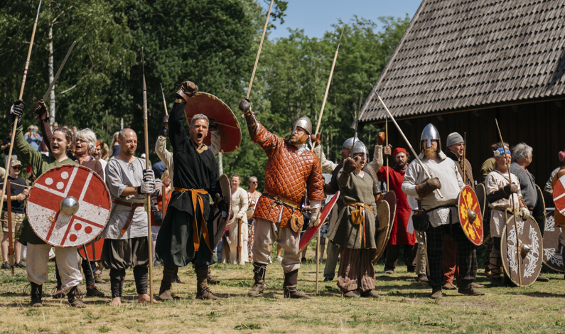 The Viking Festival